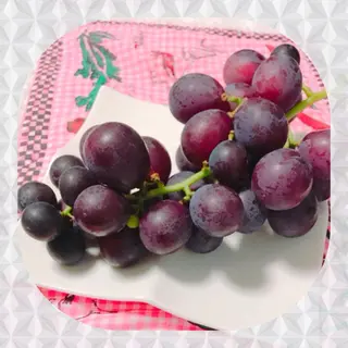 登坂  真由美のエステ・リラクイメージ