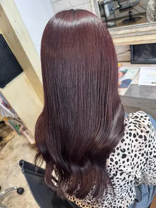 カラー 透明感カラー🩶 Ayaka🩶のヘアスタイル