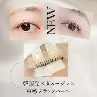 マツエク・マツパ LAND 渡邊のマツエク・マツパデザイン