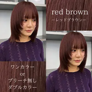 セミロング カラー 🍒暖色✖️レイヤー ／Haruna🍒のヘアスタイル