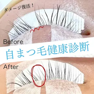 マツエク・マツパ Lesherima レシェリマスクールのマツエク・マツパデザイン