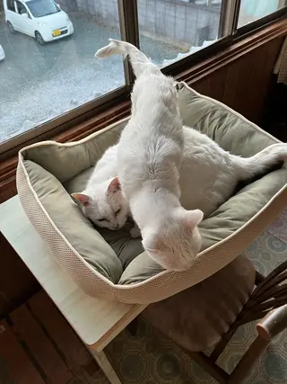 アイカワールド所属・鈴木 愛加のエステ・リラクイメージ