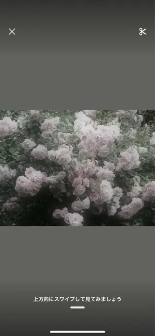 🖤:抜け感×大人 透明感カラー/Aoiのヘアスタイル