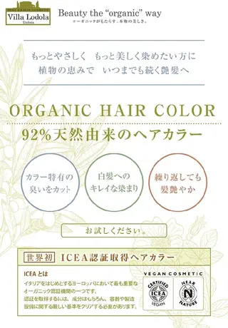 Hair Stylist MAFUYU所属・ハイライト/カラー ⭐中村真冬のヘアスタイル