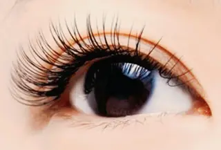 マツエク・マツパ LUCIA[ルチア]所属・村山 裕美のマツエク・マツパデザイン