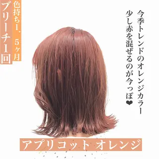 セミロング カラー ヘアアレンジ 韓国艶カラー🇰🇷 DISCO💙のヘアスタイル