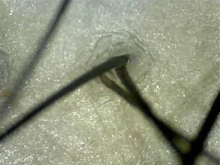 cfr professional artist salon所属・佐野 智史のヘアスタイル