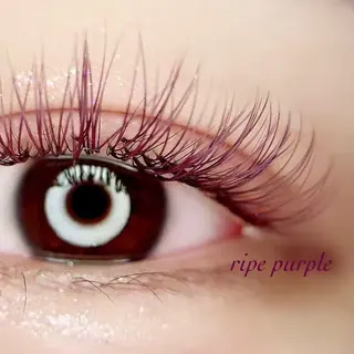 マツエク・マツパ Lupines海老名 🌻YU-KAのマツエク・マツパデザイン