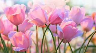 Miroir所属・Miroir Hiroseの眉毛・アイブロウイメージ