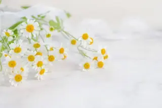 ミディアム カラー パーマ ヘアアレンジ メンズ キッズ ネイル マツエク・マツパ アイブロウ 触れたくなる モテ肌へ...❤︎のエステ・リラクイメージ