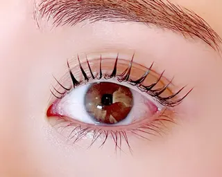 マツエク・マツパ ブレラ所属・Rumi 【ブレラ】のマツエク・マツパデザイン