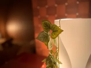 メンズ salon&bar 【more】のエステ・リラクイメージ