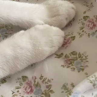 ∴Sanae. ∴ トータルビューティーのマツエク・マツパデザイン