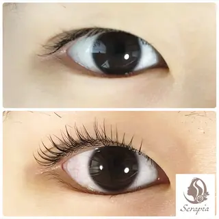 マツエク・マツパ Serapia 【セラピア】のマツエク・マツパデザイン