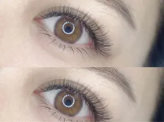 マツエク・マツパ 森　アイラシュ (旧魅力総合サロン）のマツエク・マツパデザイン