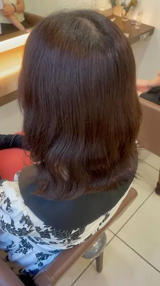 セミロング カラー 羽エクステ/シール エクステ/横浜駅5分のヘアスタイル