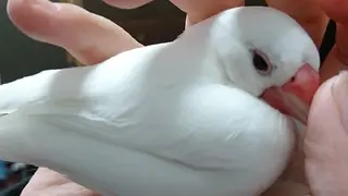 g*rossa高橋 くみこのエステ・リラクイメージ