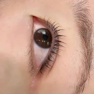 マツエク・マツパ Koti sakai mayuのマツエク・マツパデザイン