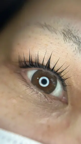 マツエク・マツパ Salon Door's所属・まつげまゆげネイル Mamiiのマツエク・マツパデザイン