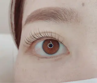 マツエク・マツパ アイブロウ TIARA池袋西口店 店長YASUKA💐のマツエク・マツパデザイン