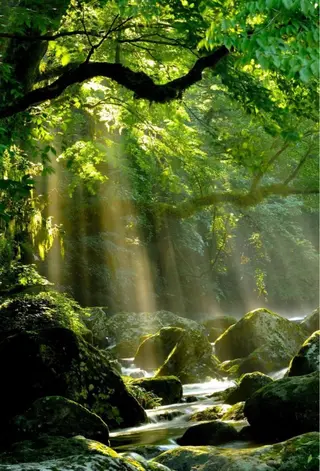 垢抜けのプロ🪄 honoのヘアスタイル