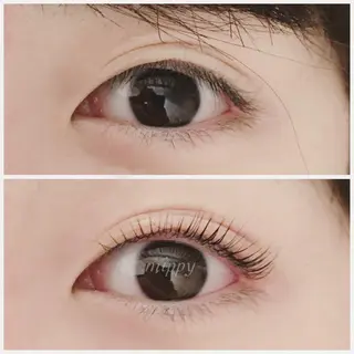 マツエク・マツパ ｍｉｐｐｙ 🪽のマツエク・マツパデザイン