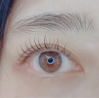 マツエク・マツパ TIARA池袋西口店 店長YASUKA💐のマツエク・マツパデザイン