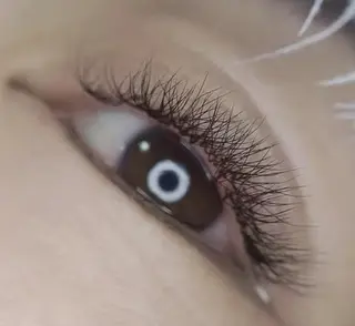 マツエク・マツパ Cute B e au t yのマツエク・マツパデザイン