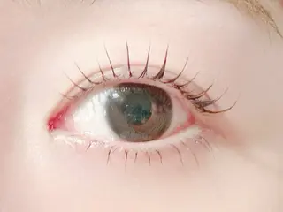 マツエク・マツパ まつげのめぐみ所属・🌹nawa.c 🦋のマツエク・マツパデザイン