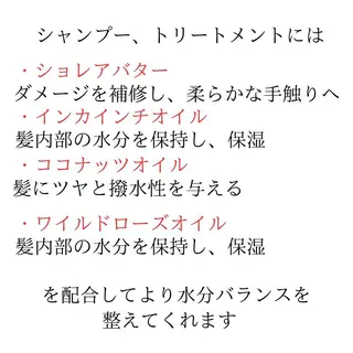 ショート 髪質改善× ハイライト溝江のヘアスタイル