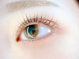 マツエク・マツパ AYA 【eyelash】のマツエク・マツパデザイン