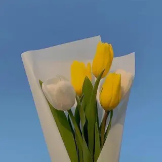 パーマ 🥣 hashi 🛋️のヘアスタイル