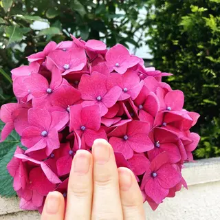 メンズ ネイル ハンドケア&ネイルケア桃の木所属・ケアリスト🍀 マリユキのネイルデザイン