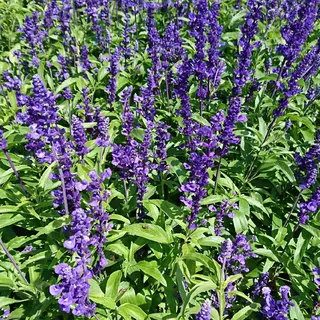 g*rossa高橋 くみこのエステ・リラクイメージ