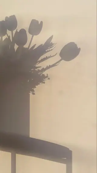 ∴Sanae. ∴ トータルビューティーのマツエク・マツパデザイン