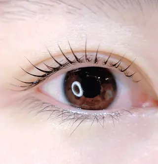 マツエク・マツパ cococherin所属・araki 🧸💭のマツエク・マツパデザイン