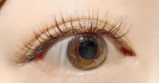 マツエク・マツパ Eyelash Salon GALLET所属・谷村 里美の眉毛・アイブロウイメージ