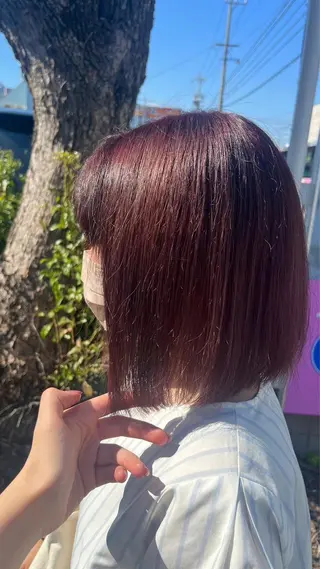 カラー ミシェル /韓国ヘア🕊️のヘアスタイル