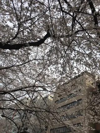 セミロング カラー パーマ ヘアアレンジ メンズ キッズ ネイル マツエク・マツパ アニメ,Vオタク× 即効痩せエステサロンのエステ・リラクイメージ