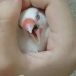 g*rossa高橋 くみこのエステ・リラクイメージ