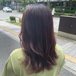 セミロング 韓国ヘア/レイヤー 🇰🇷/艶髪/長橋のヘアスタイル