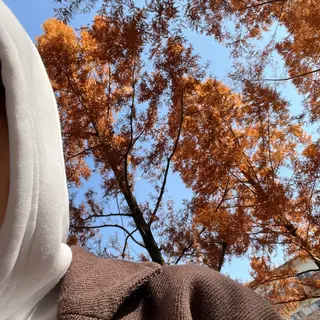 TIDEHAIR SHIHOのヘアスタイル