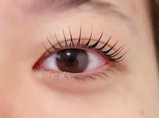 マツエク・マツパ Biolus／天王寺 2号店🌸noa🌸のマツエク・マツパデザイン