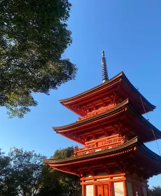 ミディアム カラー パーマ ヘアアレンジ メンズ 🩷Eny terrace🩷のヘアスタイル