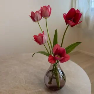 hinami ｜スクール生💅🏼のネイルデザイン