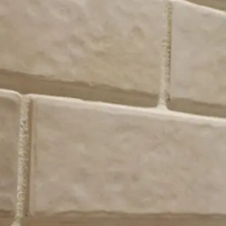 ミディアム カラー パーマ 艶髪カラー&ウルフ フルカワ ヒロズミのヘアスタイル