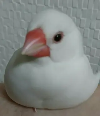 g*rossa高橋 くみこのエステ・リラクイメージ