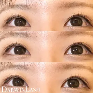 マツエク・マツパ まつげと眉毛のお店Sakura Lash【サクララッシュ】所属・【ダメージケア特化】 🌸 サクララッシュの眉毛・アイブロウイメージ