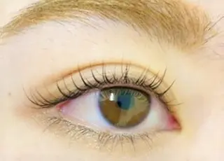 マツエク・マツパ Eyelash 予約受付スキンプロのマツエク・マツパデザイン
