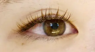 キッズ マツエク・マツパ sola: neolive出沼のマツエク・マツパデザイン